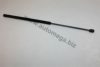 AUTOMEGA 3182303591M0A Gas Spring, bonnet